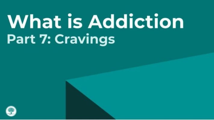 a green cover with the words what is addition? part 7 cravings.