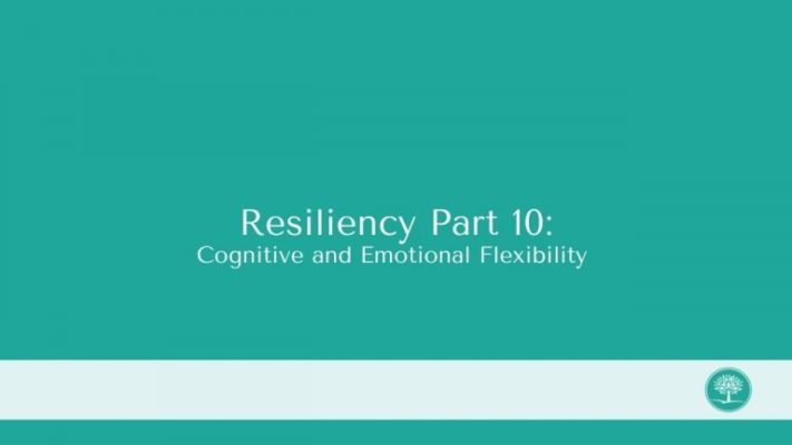 the cover of resilincy part 10.