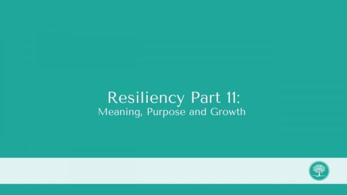 the cover of resilincy part 1 meaning, purpose and growth.